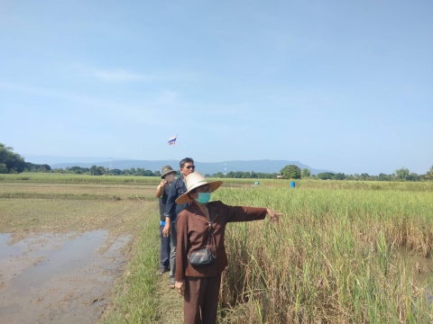 วันพุธที่ 9 พฤศจิกายน 2565  องค์การบริหารส่วนตำบลบ้านเป้า  สำนักงานเกษตรอำเภอเกษตรสมบูรณ์  และผู้นำชุมชนลงพื้นที่ตรวจสอบความเสียหายของพืชผลทางการเกษตรที่ถูกน้ำท่วมขังในพื้นที่ตำบลบ้านเป้า